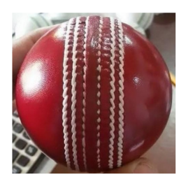 Your Cricket Partner